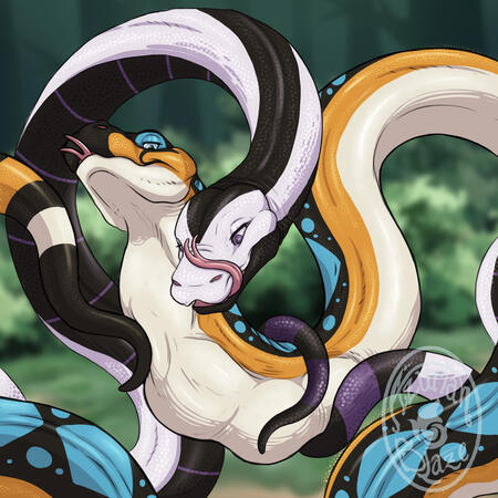 Double snake trouble